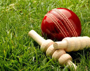 Cricket